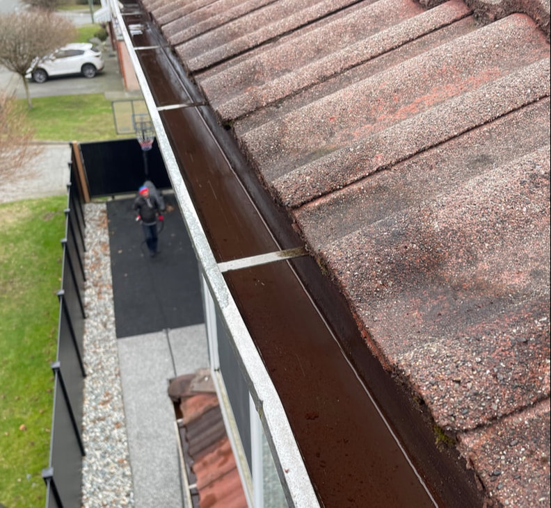 Gutter Cleaning Vancouver